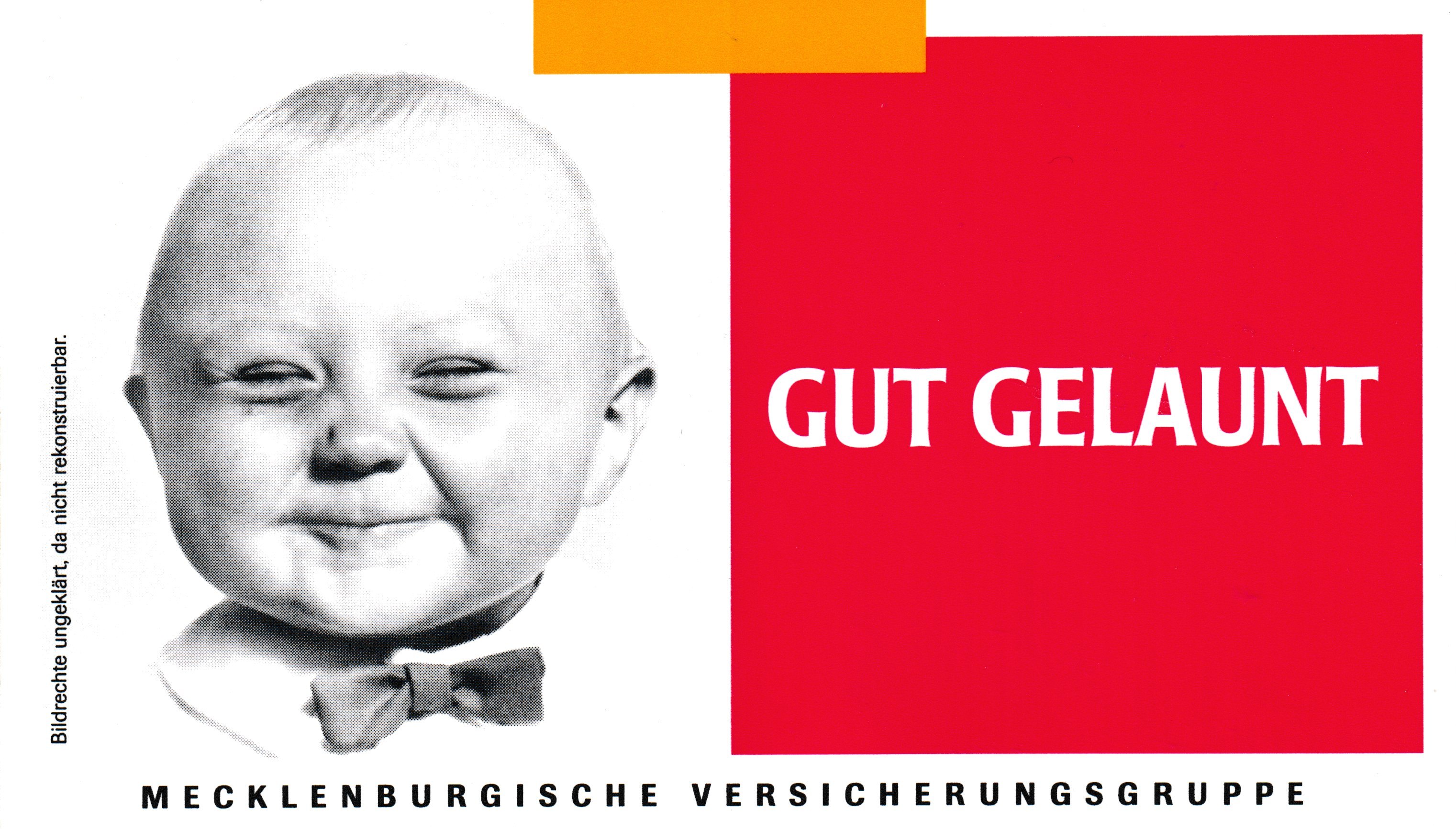 Mecklenburgischer Versicherer 
