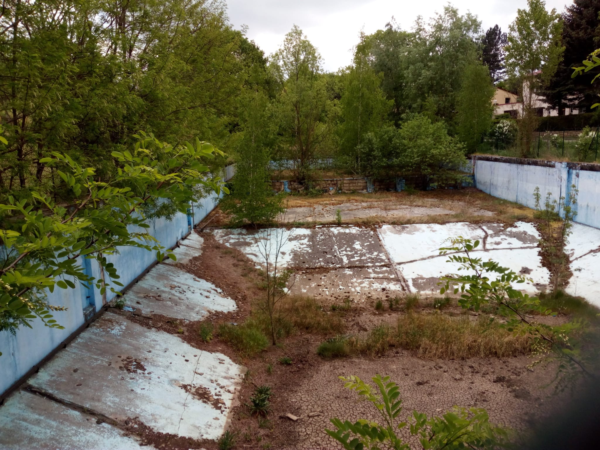 Schwimmbecken 2023 