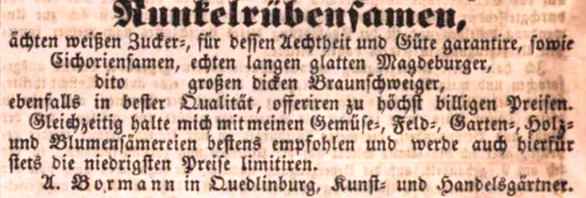 Magdeburger-Zeitung-1848-S.14-R&uuml;bensamen 